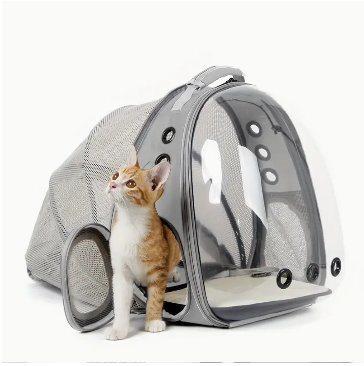 Morral Expandible Para Mascotas
