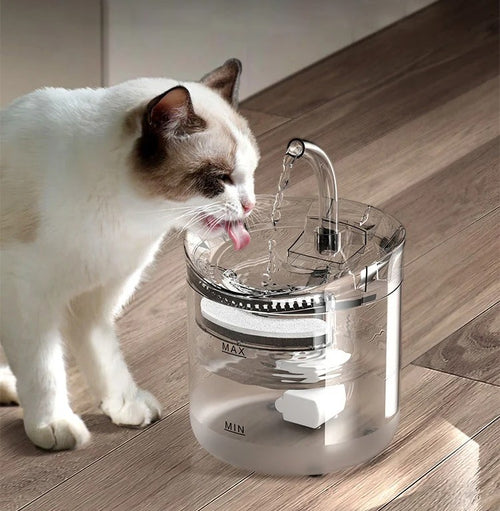 NUEVA FUENTE DE AGUA PARA MASCOTAS